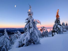 Bayerischer Wald für Individualisten / 3 Tage