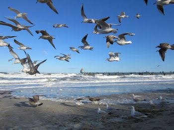 Einfach Ostsee - 11 Tage Ferienwohnung in Zingst