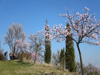 Berge, Wein & Wald - 5 Tage Pfalz & die Weinstraße