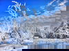 Wintertage in Halberstadt inkl. Dom & Kino (4 Tage)