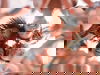 3 Tage / 2 Nächte Beauty4Friends zzgl. Kurtaxe