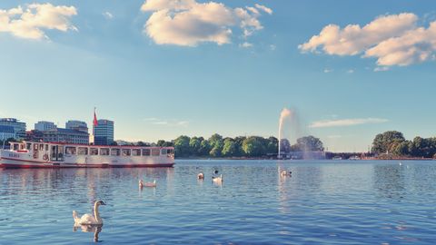 Alster mit Schiff und Schwänen in Hamburg