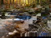 Sommerspecial Auszeit im Harz inkl. HP I 3 Tage