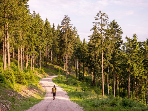 4 Tage Thüringer Wald – Ruhe, Genuss & Erholung in Cursdorf, Thüringen inkl. All Inclusive