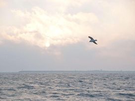 Urlaub am Markermeer-See - 3 Tage in Nord-Holland