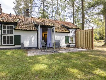 Bild 195 von 325