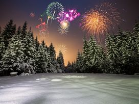 6 Tage Winterberger Silvesterurlaub inkl. HP+ & Party