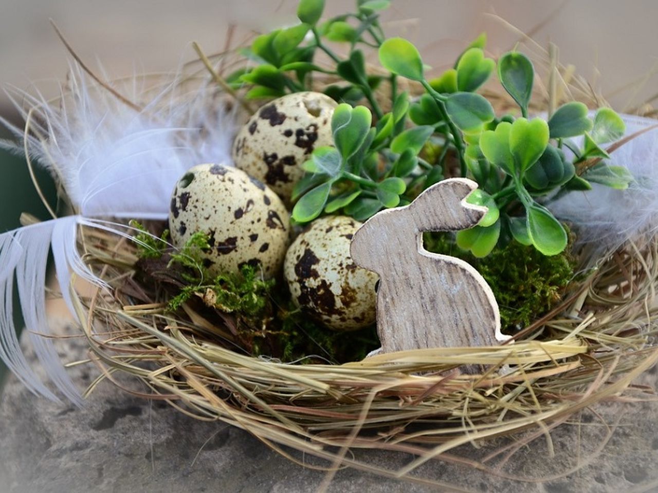 4 Tage Ostern im Spreewald inkl. Halbpension plus