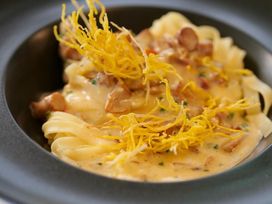 Wanderurlaub Pfälzerwald inkl. Halbpension | 5 Tage