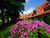 Genuss & Entspannung Arrangement