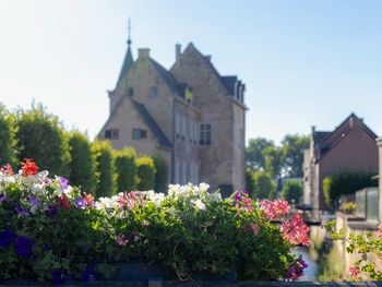 5 Tage am Rande des beliebten Städtchens Valkenburg