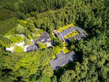 3 Tage Kurzurlaub in der Veluwe: Wald, Ruhe & Natur