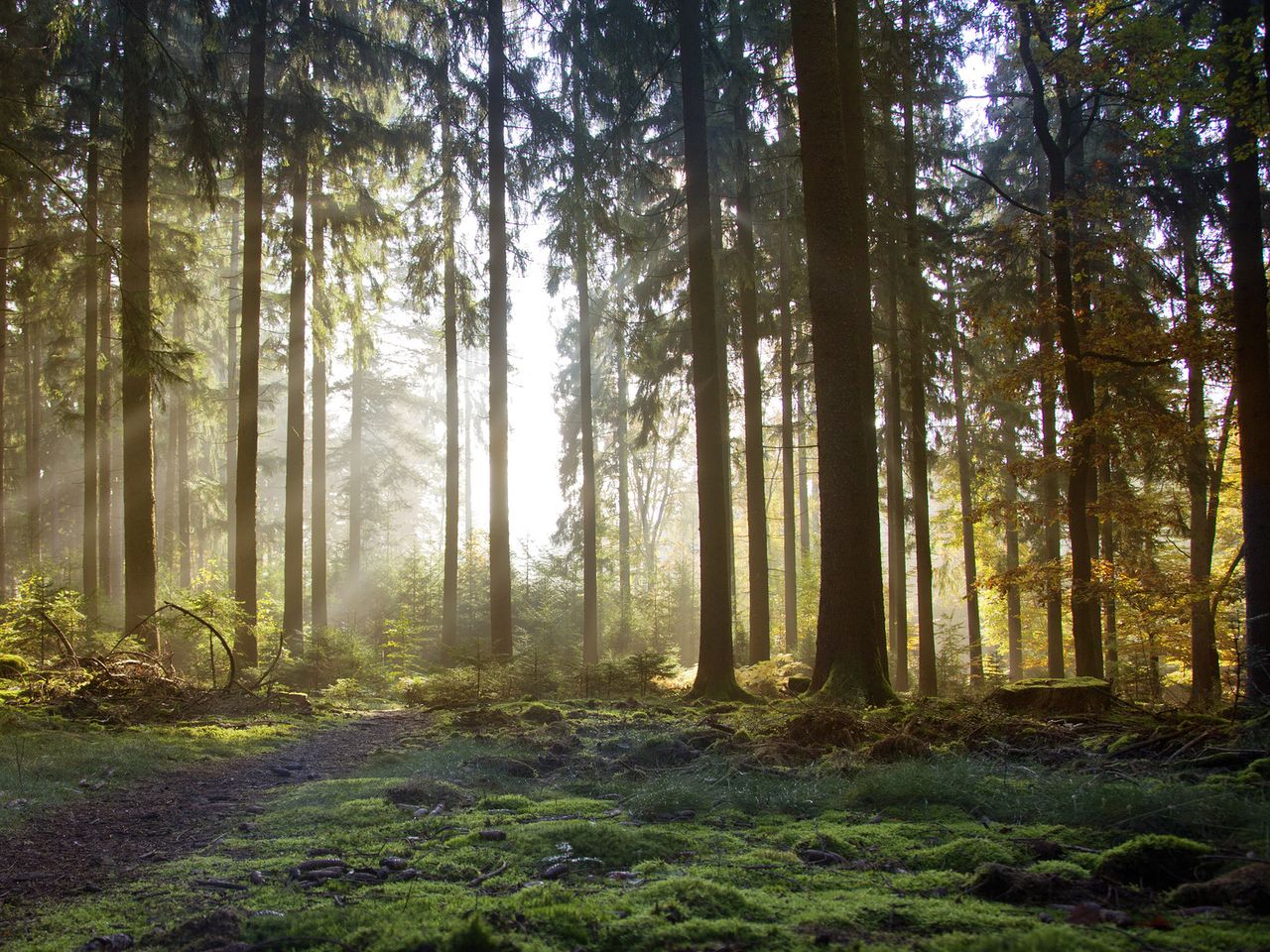 4 romantische Tage im verträumten  Odenwald