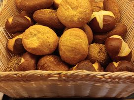 Einfach mal raus - eine wohltuende Auszeit im schönen Ammerland